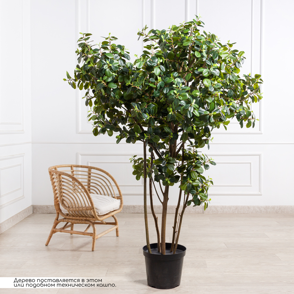 180/РН/527-1(з)(F) Фикус искусственный Гринн Исланд h180см d120см, латекс_2