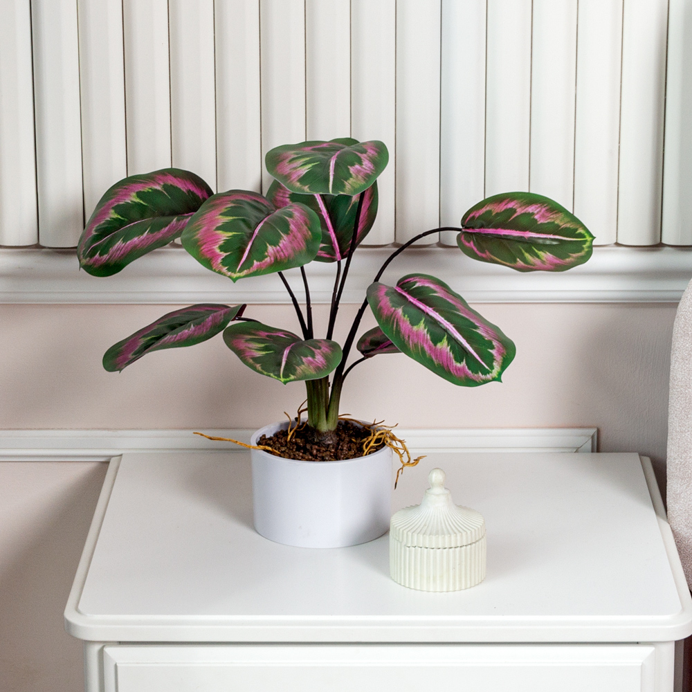 ЦС2144(F) Калатея искусственная зелёно-фиолетовая_1