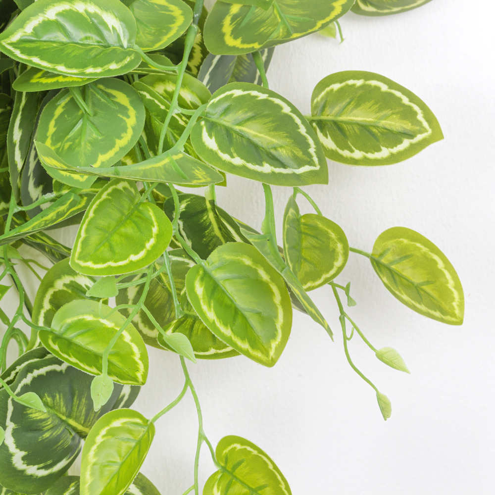 7144/0046-14Р Плющ маранта искусственный h100см (латекс), желто-зеленый_1