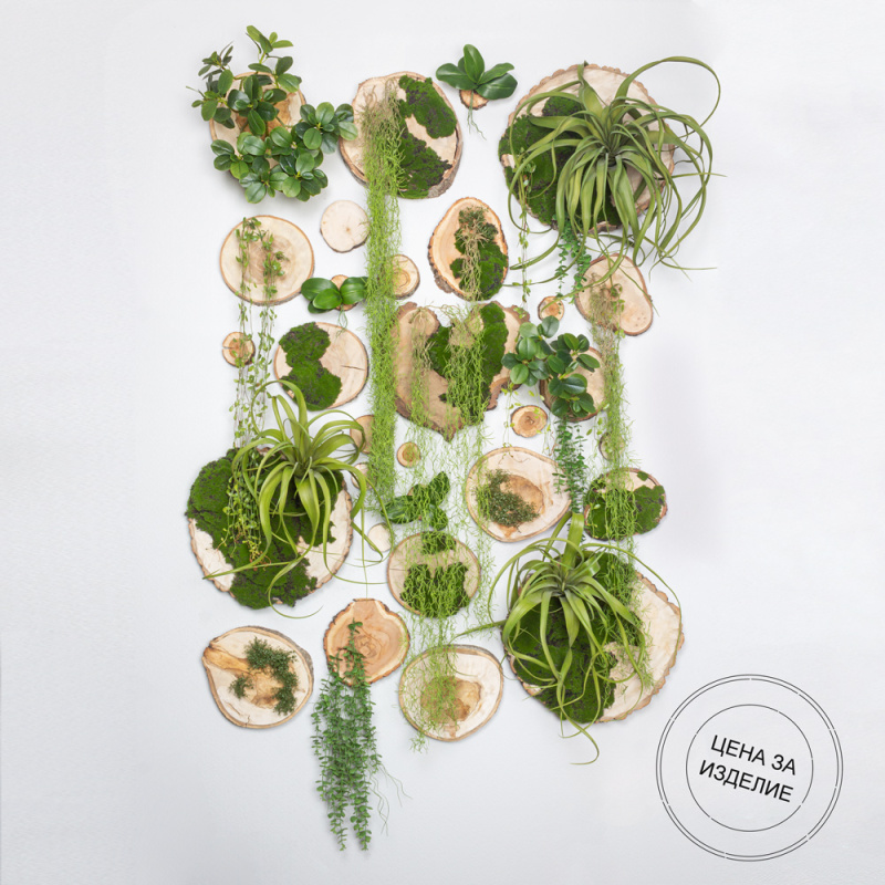 Фитостена 140(з.) (150хh200см)_22