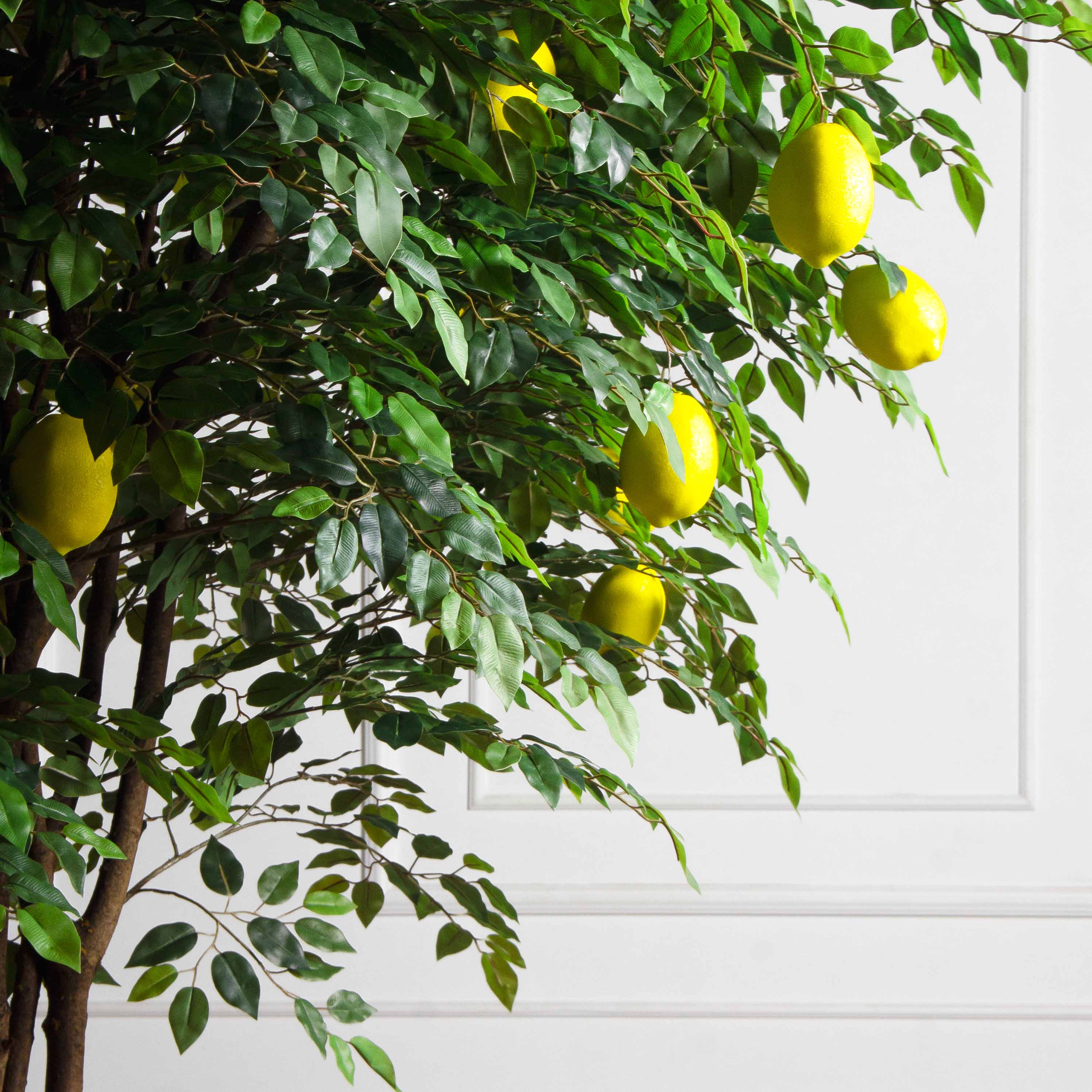 250/РН/20М-1(з)(УУ)(Пр)(F) Лимон искусственный h250см d200см, латекс_8