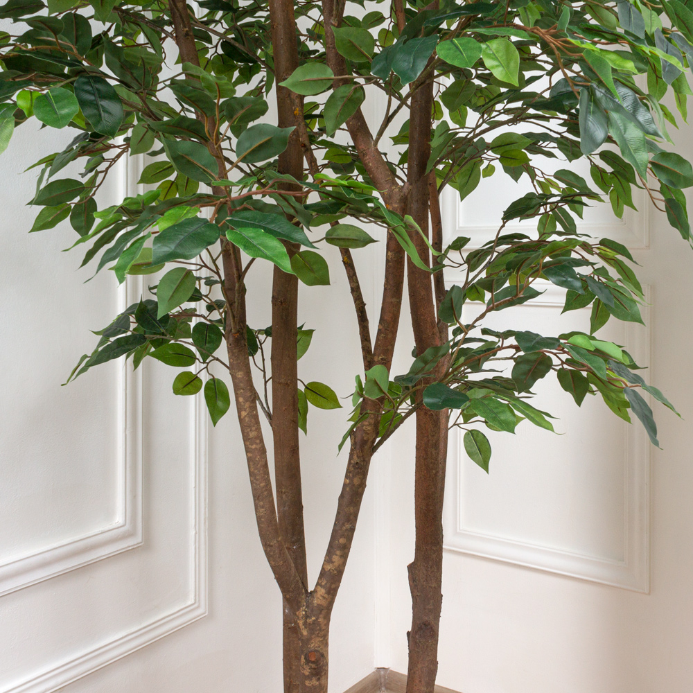 300/РН/34-1/1(з.) Фикус искусственный h300см(3 ствола)_1