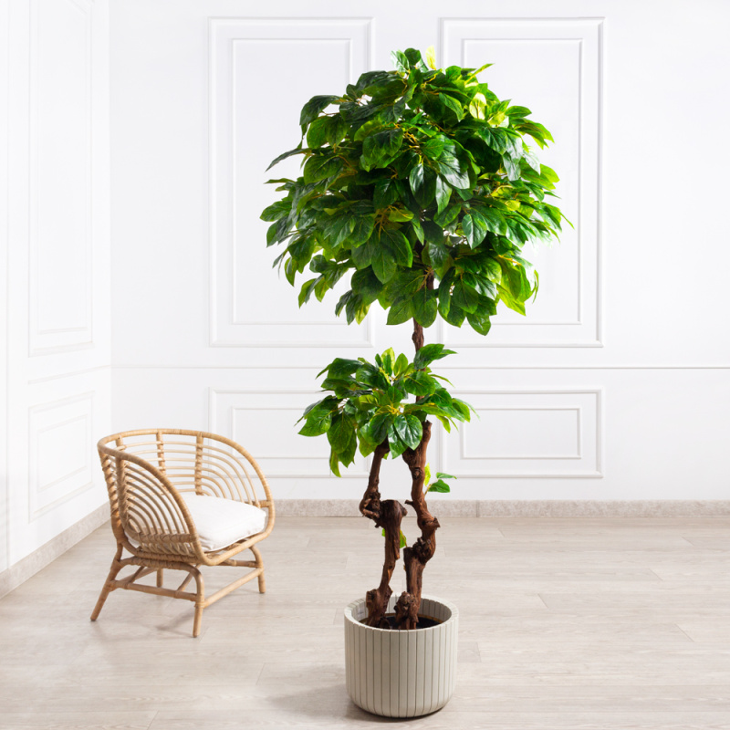 210/2К/ОС/89(з)(F) Магнолия искусственная h210см