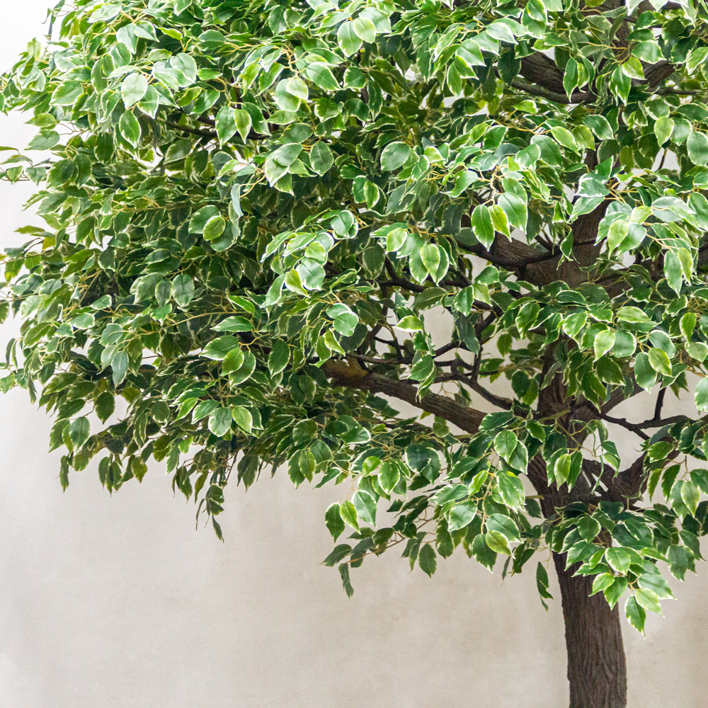 420разб/17М(з) Фикус Бенджамина искусственный h420см, d250-270см_3