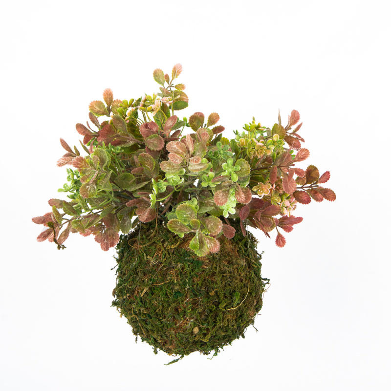 ККД28/201 Кокедама d-15 