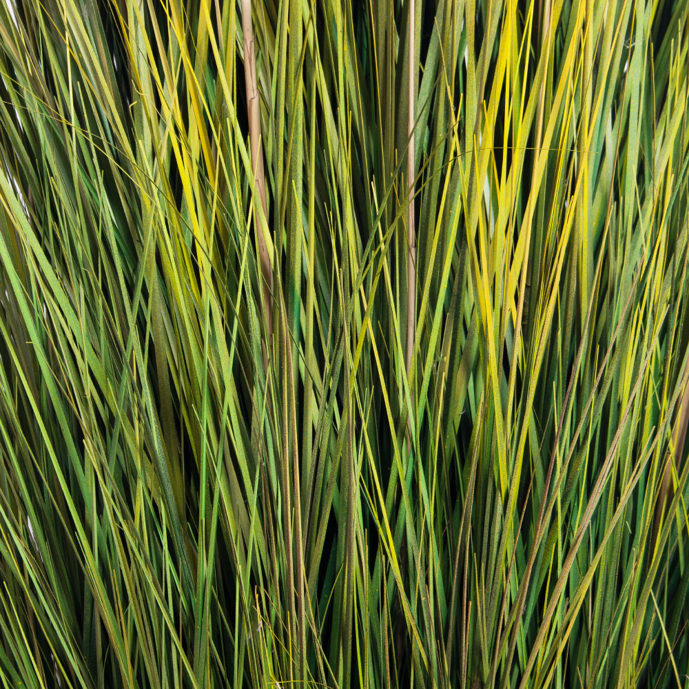 К351-6(з)(F) Трава Осока искусственная h200см в кокосовом боксе d60 h10см с мхом_5