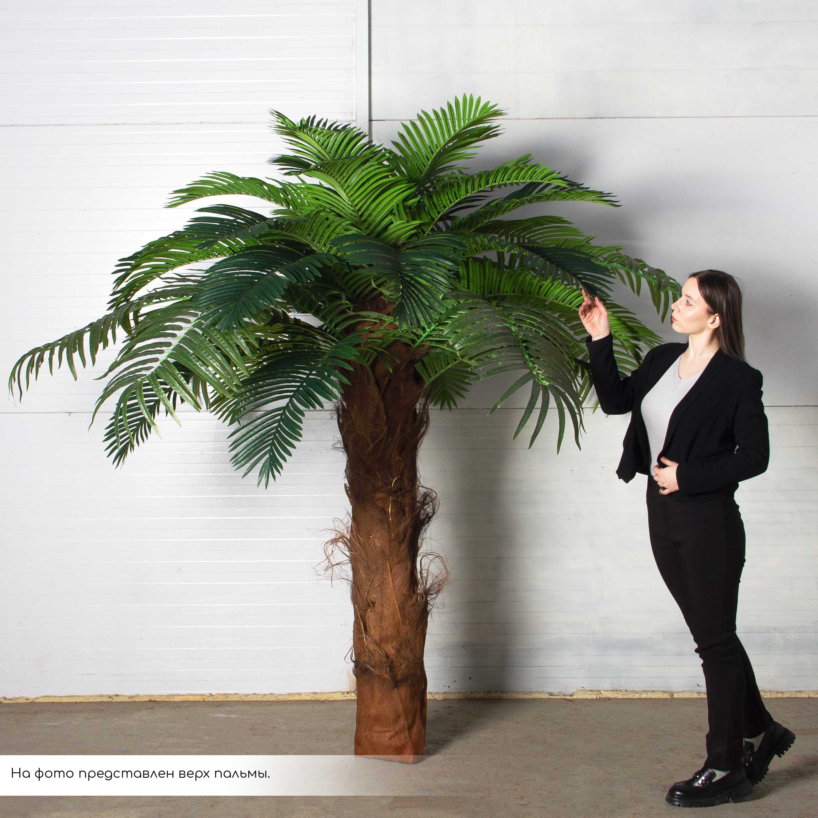 ПС400Разб/ТР/49(Пр)(F) Пальма Арека искусственная h400см (латекс) на мет.основании_5