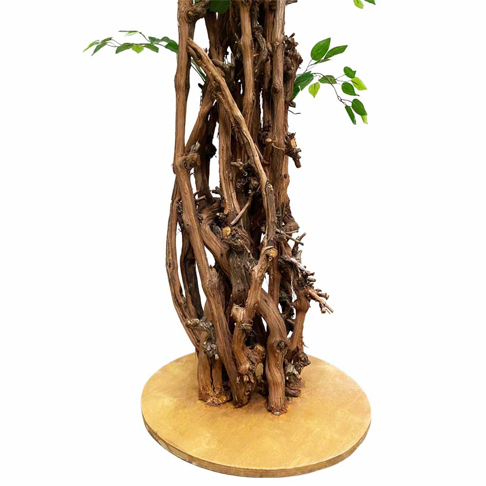 290/ОС/34(з.) Фикус (латекс)_1