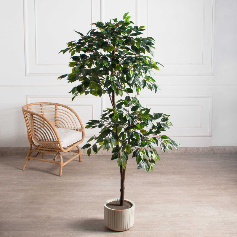 170/Р/34(з)(F) Фикус искусственный h170см в кашпо_1