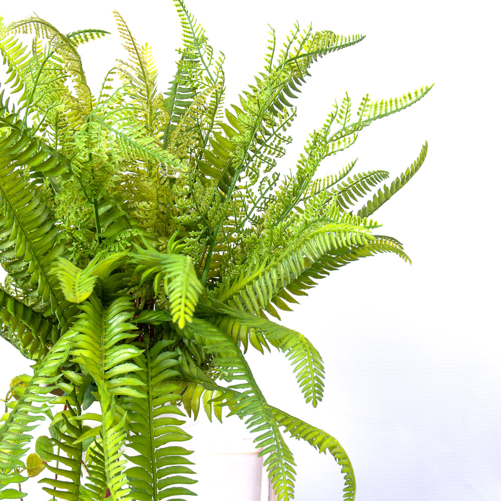 Кн15-3(з.) Кашпо с папоротником