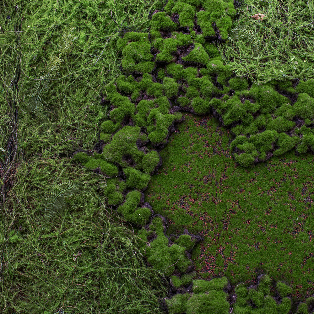 Фитостена 87  Рельеф_3