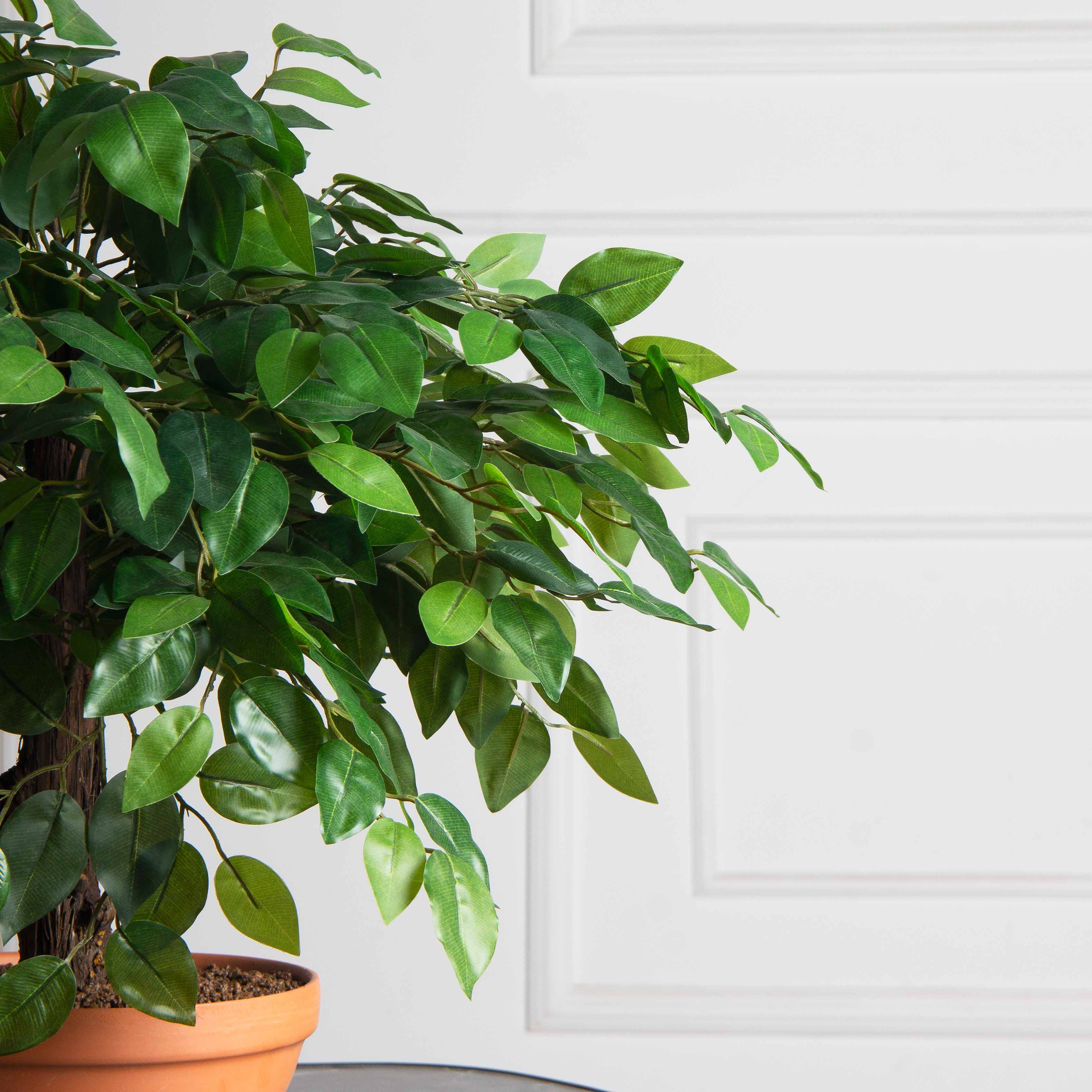 БЛ040/09МП(F) Бонсай искусственный Фикус французский h40см_2