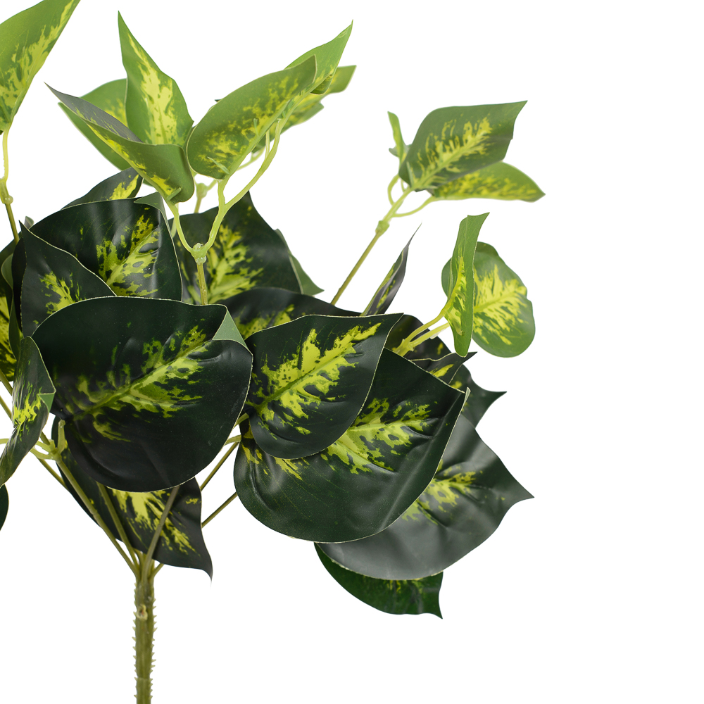 7143/0760-47 Сциндапсус золотой куст (латекс) *8ч_2