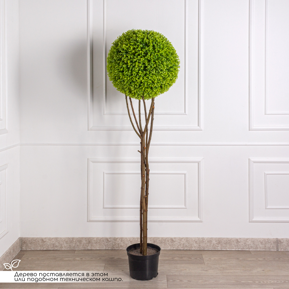 СШК180/98(з)(Promo) Самшит искусственный шар на стволе h180см, в кашпо d23см_1