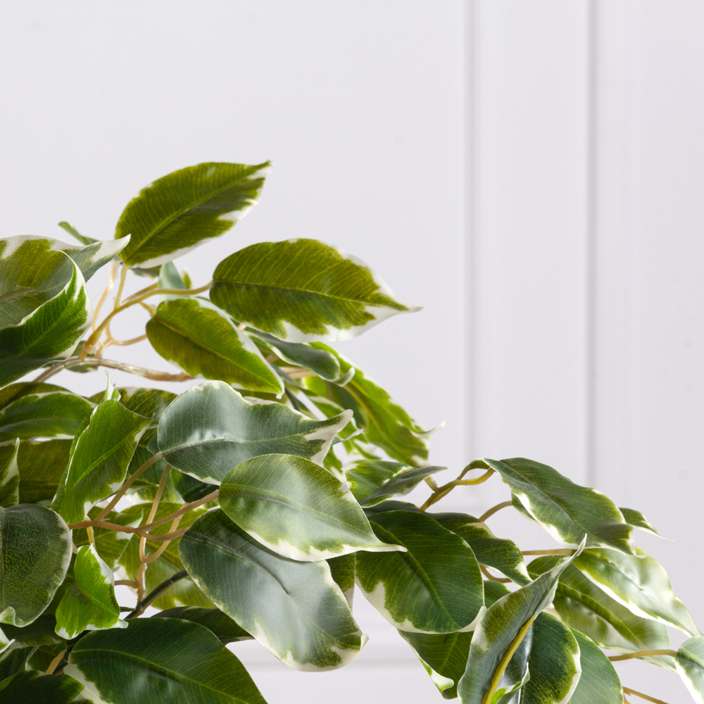 130/Я2/ОС/17М Фикус Бенджамина искусственный h130см (латекс)_3