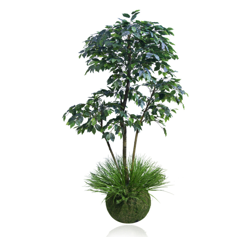 ККДД180/34(з.) Кокедама d40см Фикус зеленый h180см_1