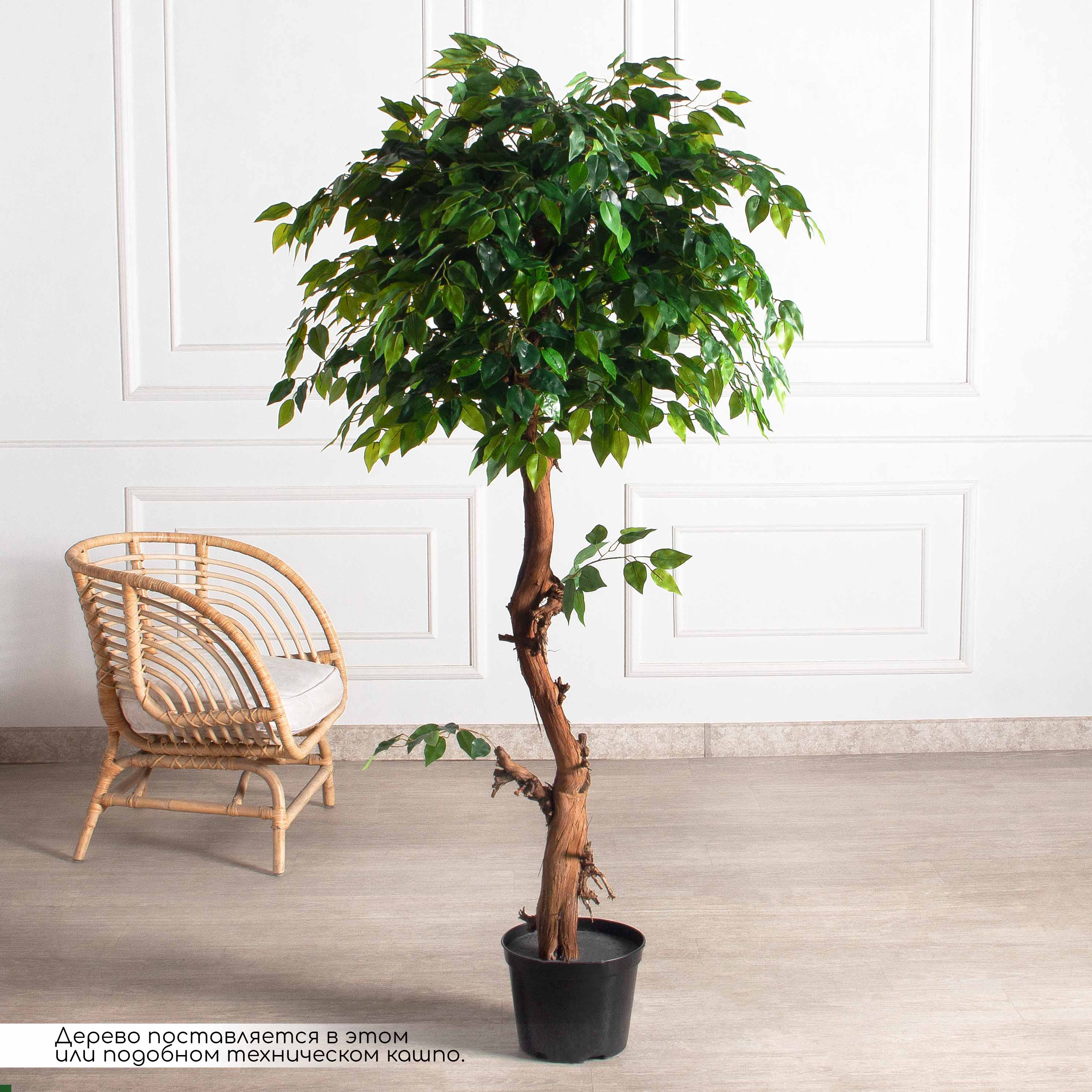 180/ОС/34(F) Фикус искусственный h180см (латекс)_2