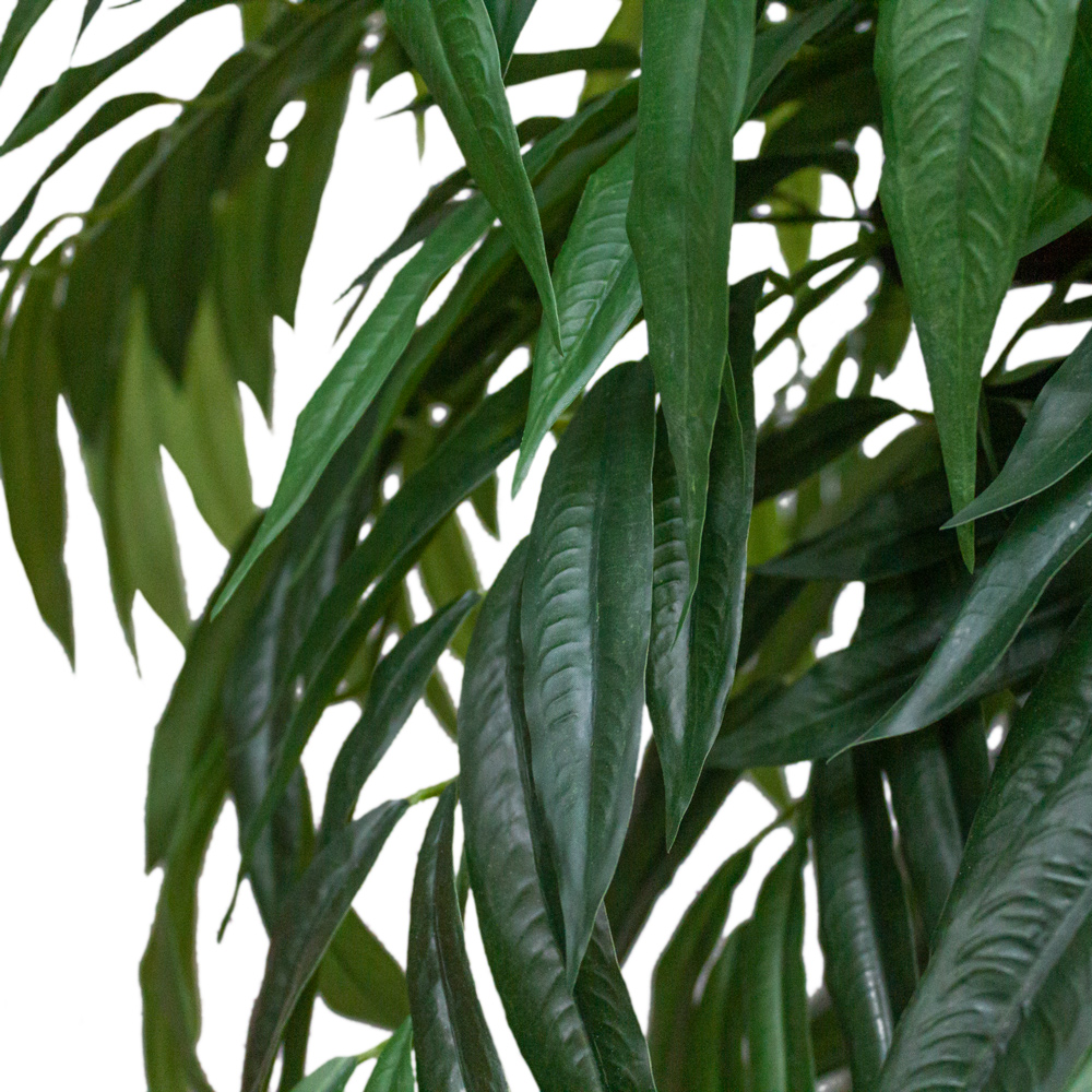 180/3Я/ОС/219(з) Лонгифолия искусственная h180 см_2