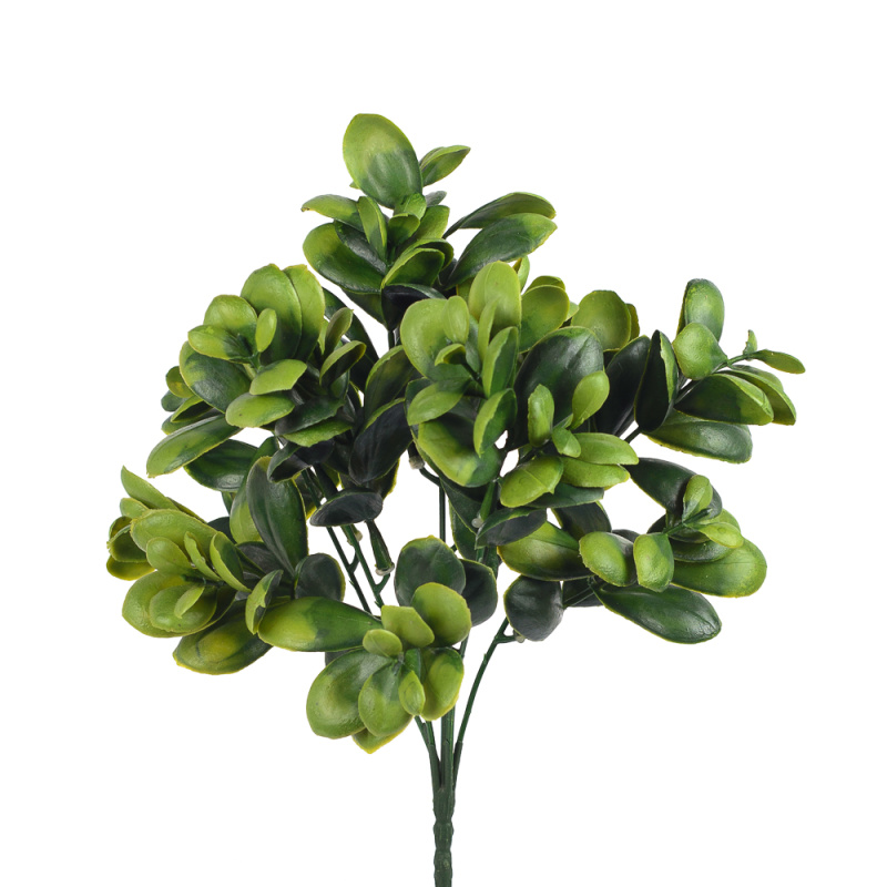 7143/0381-11 Толстянка зелёная*5 h=29см (20+9)