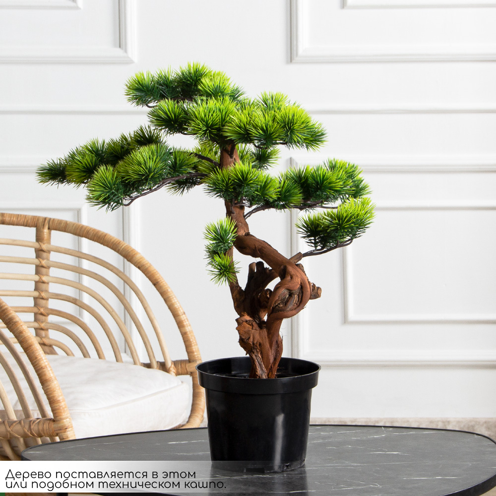 БС060/ОС/30(FixS)(Пр)(F) Бонсай искусственный сосна h60см_2