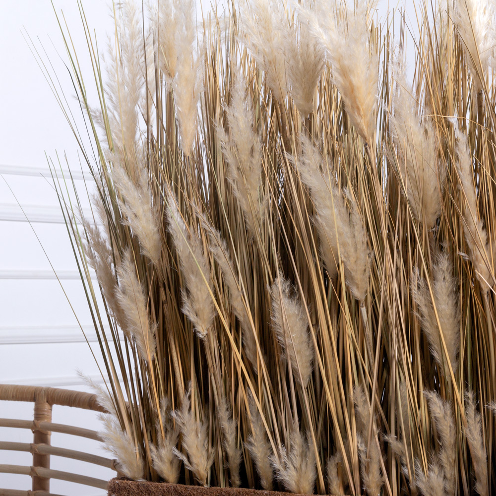 ТД007-12(з)(F) Трава Осока искусственная h60см в кокосовом боксе 84х16х24см_2