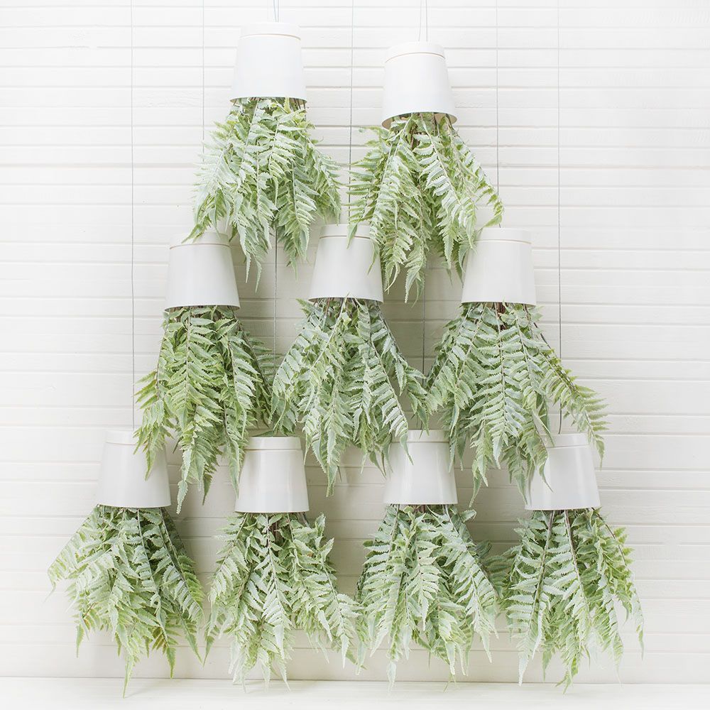 СП05-1 Sky Planter Циртониум h-35 в кашпо (11*10)_4