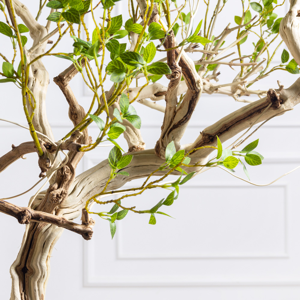 БЛ190/Д3/619(Пр)(F) Бонсай искусственный лиственный h190см_3