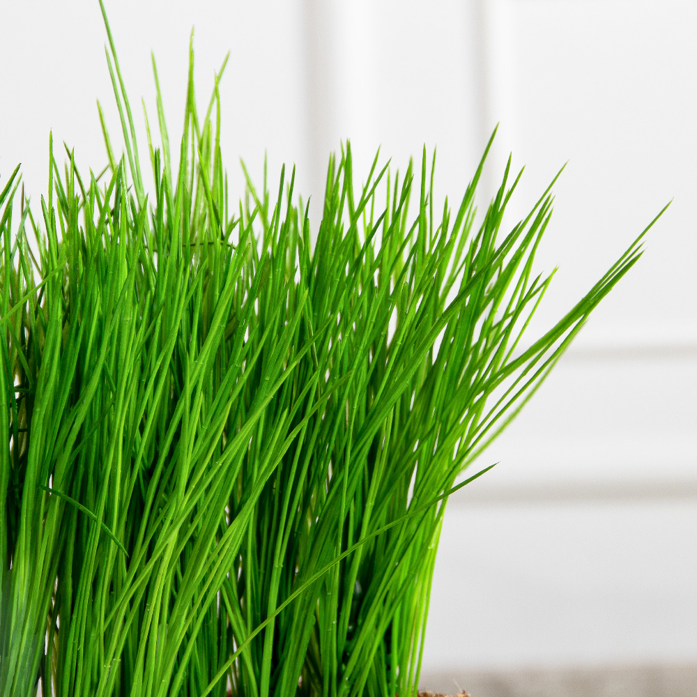 ТД061(F) Трава искусственная h15см в кокосовом боксе 25х8х8см_4