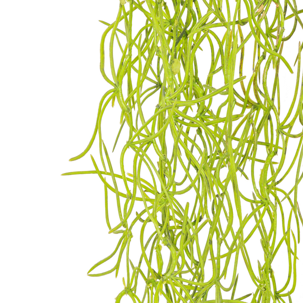 БК140/5 Композиция на березовом спиле d30-40см_4