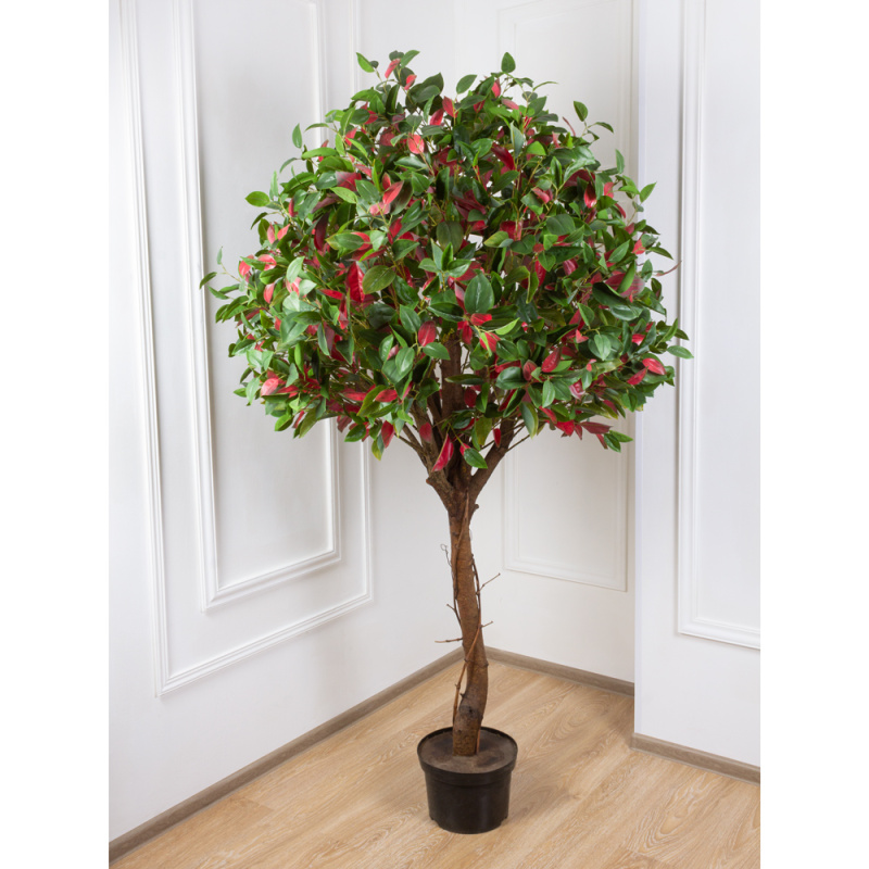 220/РН/420 Фотиния искусственная зелено-бордовая, h220см_1