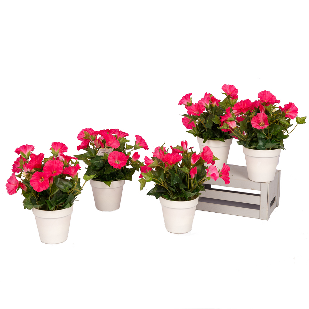 ЦС81-2 Петуния (малиновая)h20см(латекс) в кашпо d11см_3
