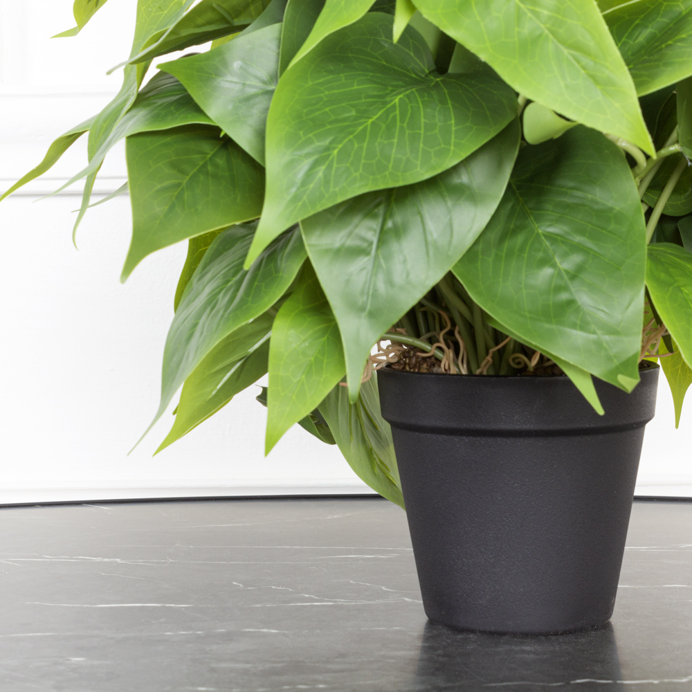 ЦС103(з.) Калла куст h37см(латекс) в кашпо d18см_5