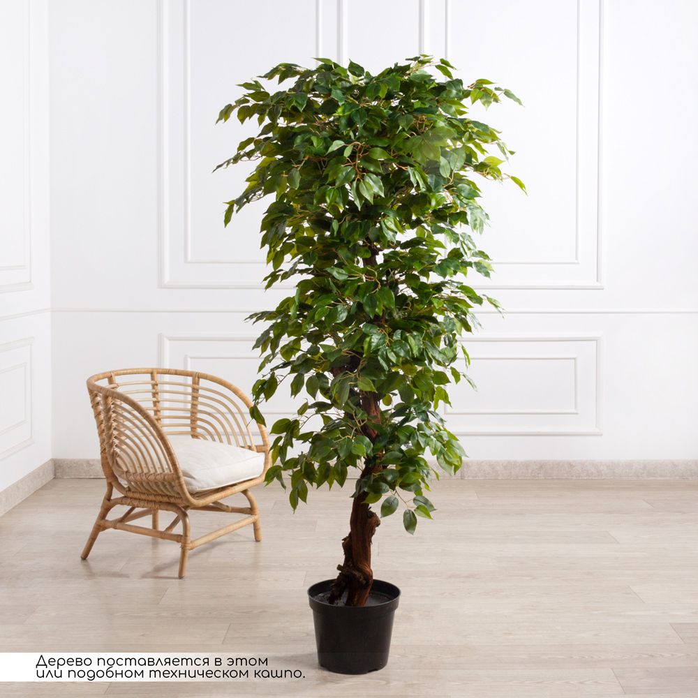 180/Я3/ОС/34(F) Фикус искусственный h180см (латекс)_8