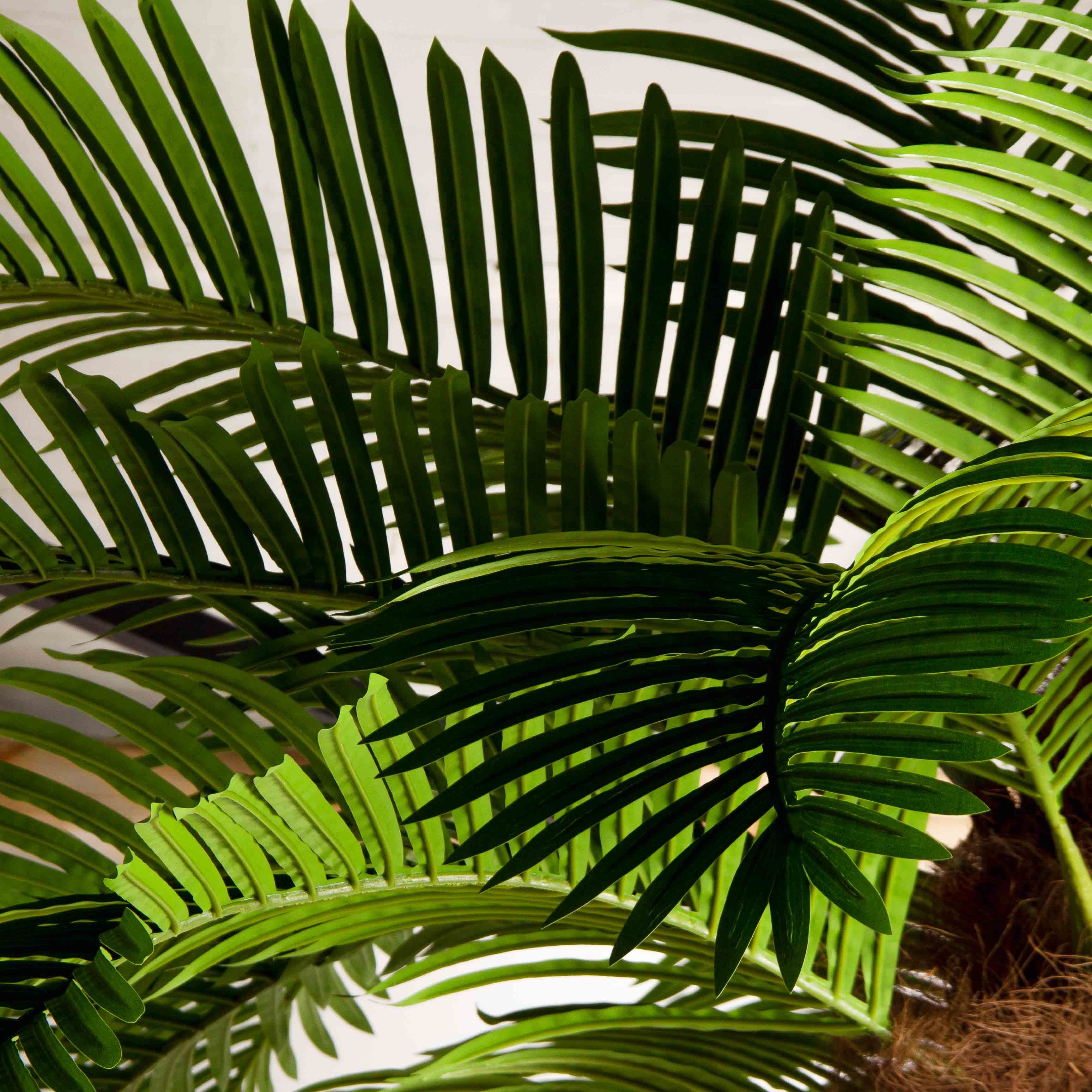 ПС300/ТР/49СТ(Пр)(F) Пальма Арека искусственная h300см (латекс) на мет.основании_6