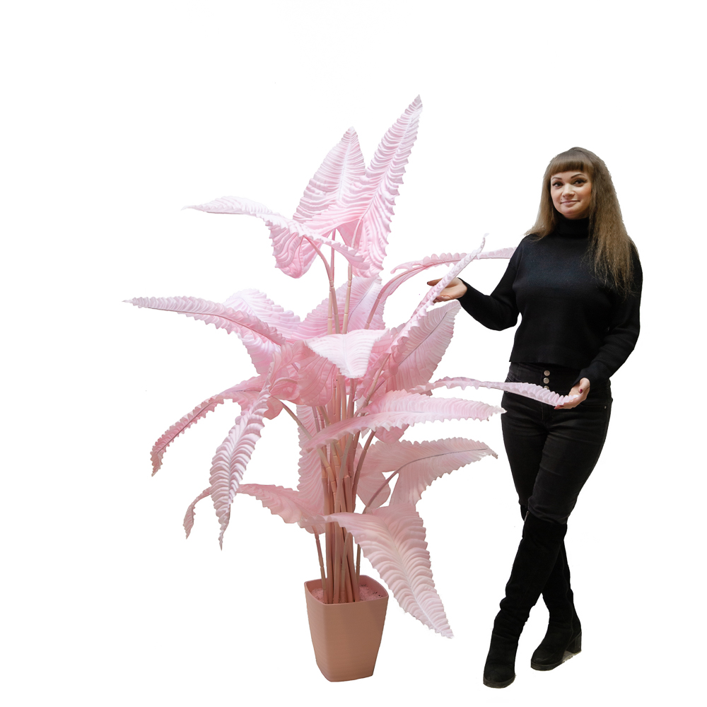 170/К/408 Каладиум куст h170см (латекс)_3