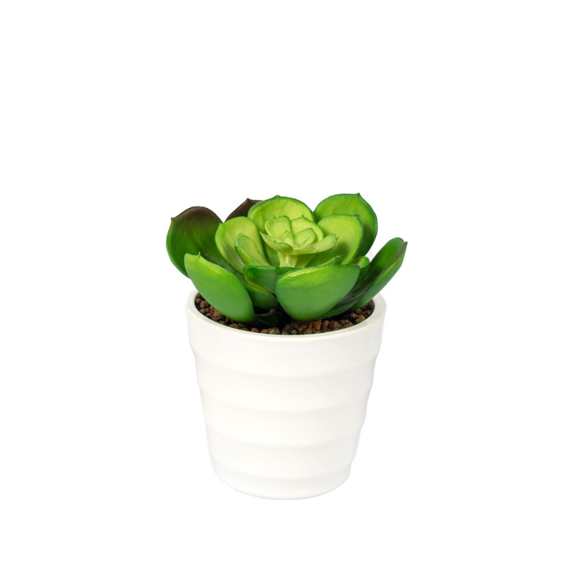 СКК20 Суккулент Эхеверия (зеленая) d9 (силикон) в кашпо d7
