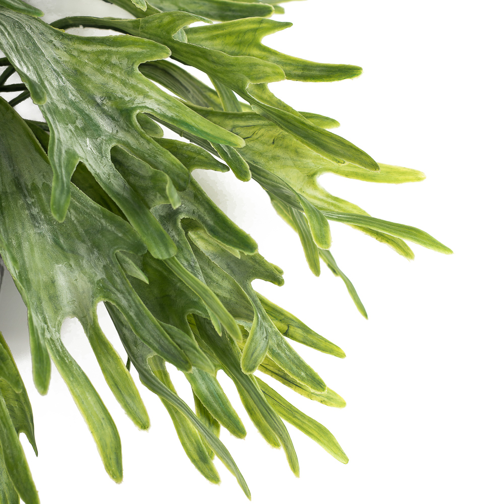 КС101 Оленьи рога малые в кашпо_2