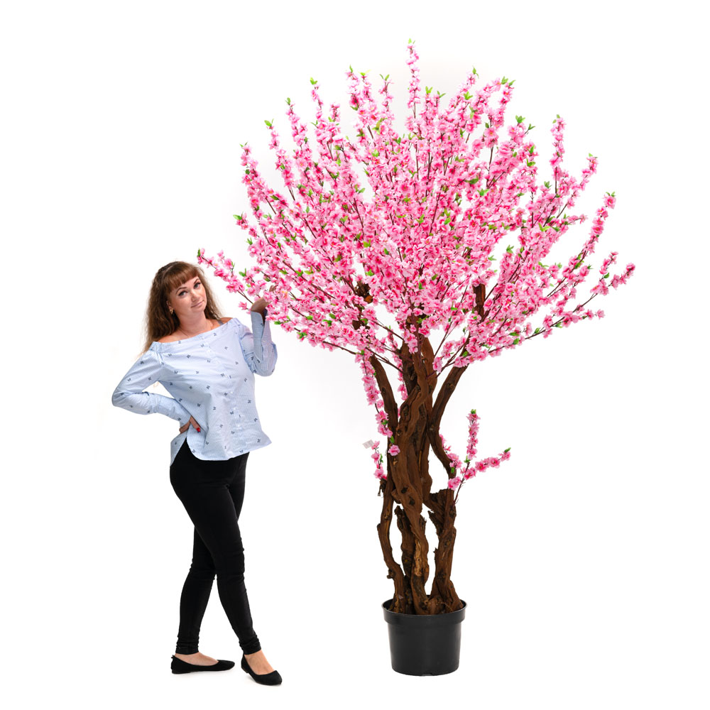 240/ОС/46М(з.) Сакура (розов.)240см_3