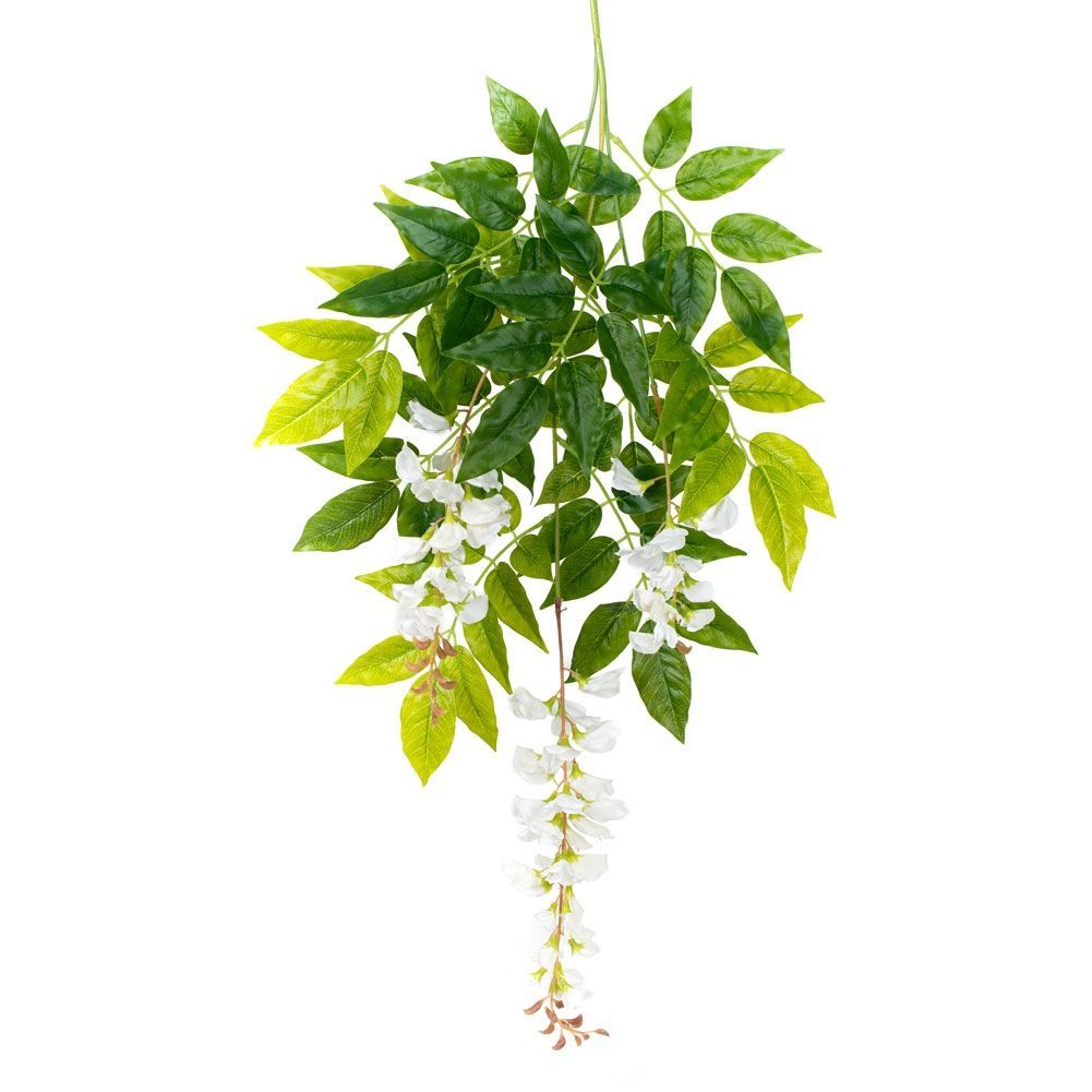 180/ССТ/ПЛ/424-1 Глициния (вистерия) белая, сложный ствол h180см(латекс)