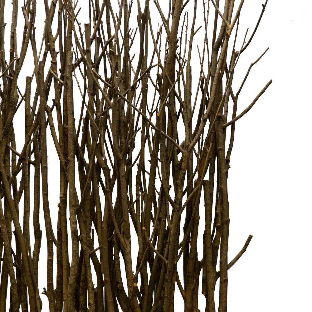 ДИ01(з.) Декоративная изгородь 220*h280см_2