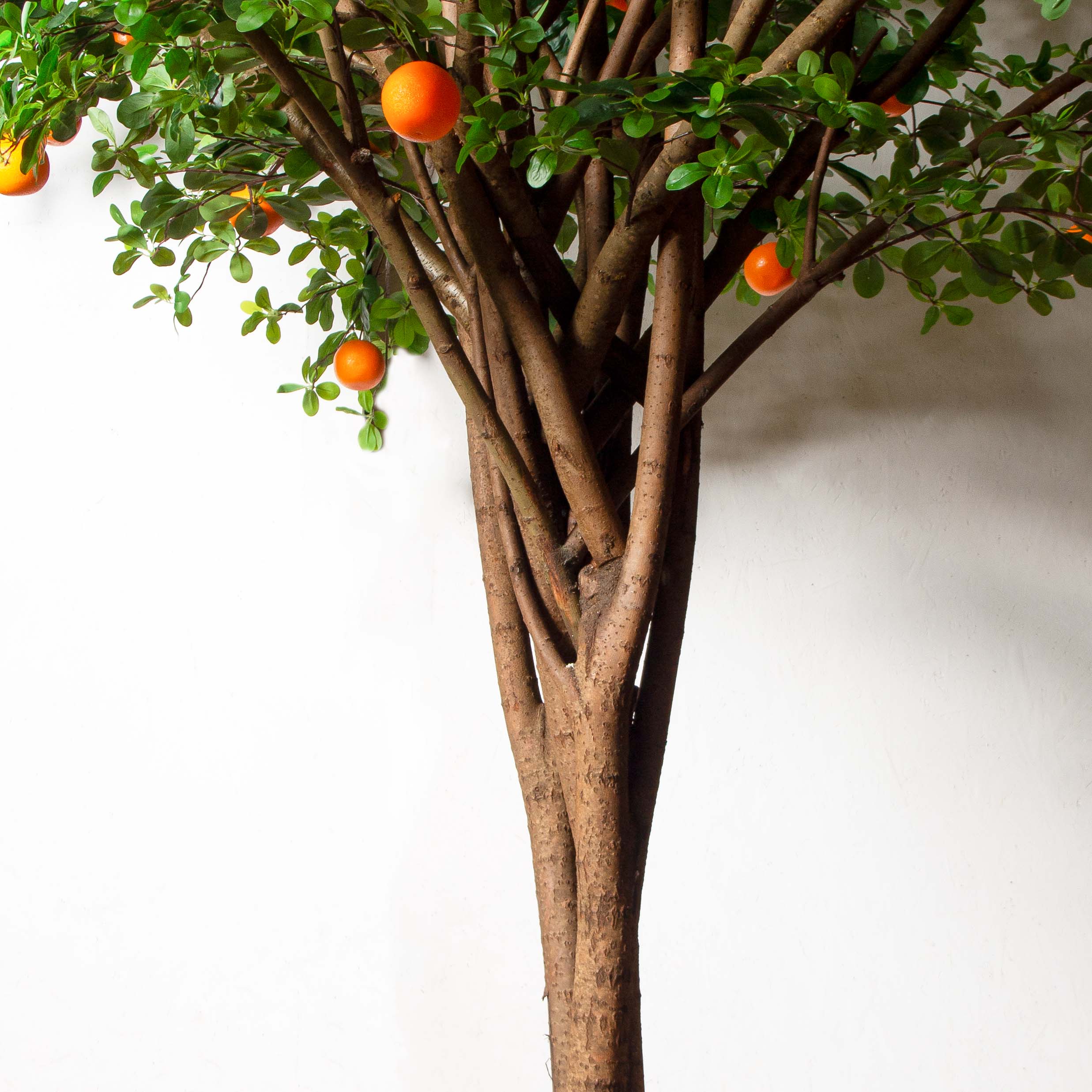 300/РН/84-1(з)(F) Шефлера искусственная h300см d330 на основании d75см, латекс_7