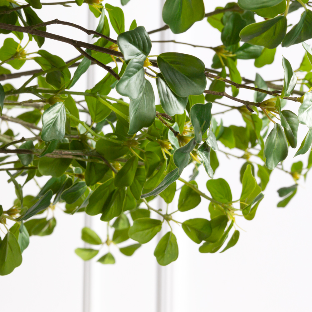 263/ОС/84(з)(F) Шеффлера искусственная Компакта h220см, d240см _4