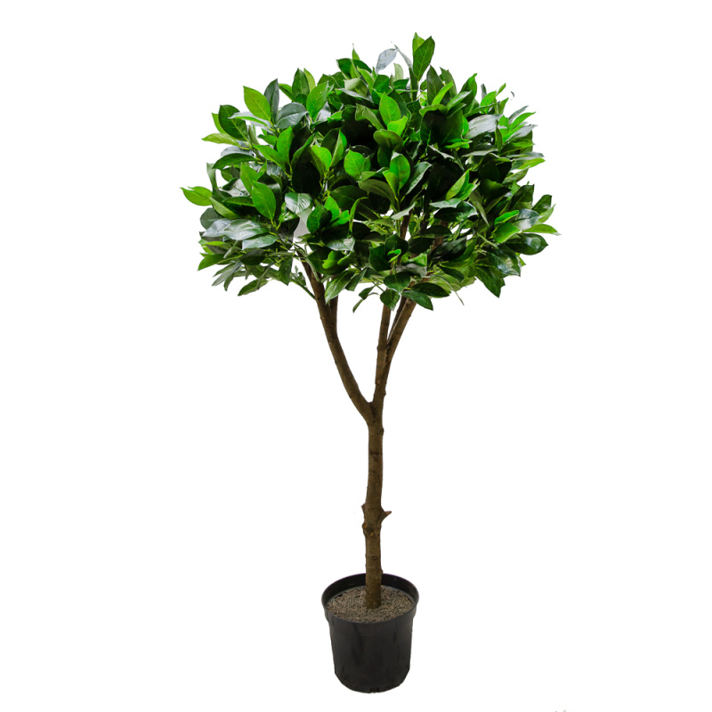 140/Ш/188 Лавр h140см (латекс)