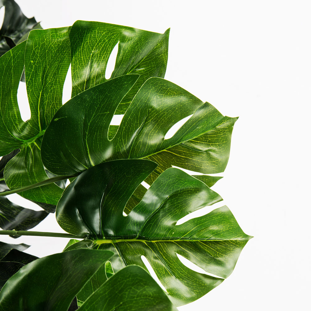 7143/0760-41/2 Куст монстеры большой*18в h60см_2