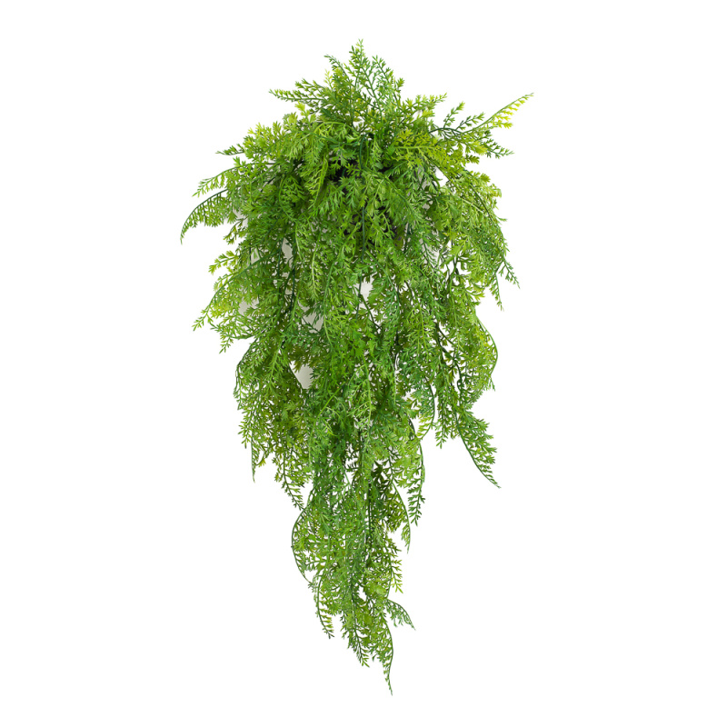 КС91 Папоротник ампельный свисающий h74см в кашпо d11см