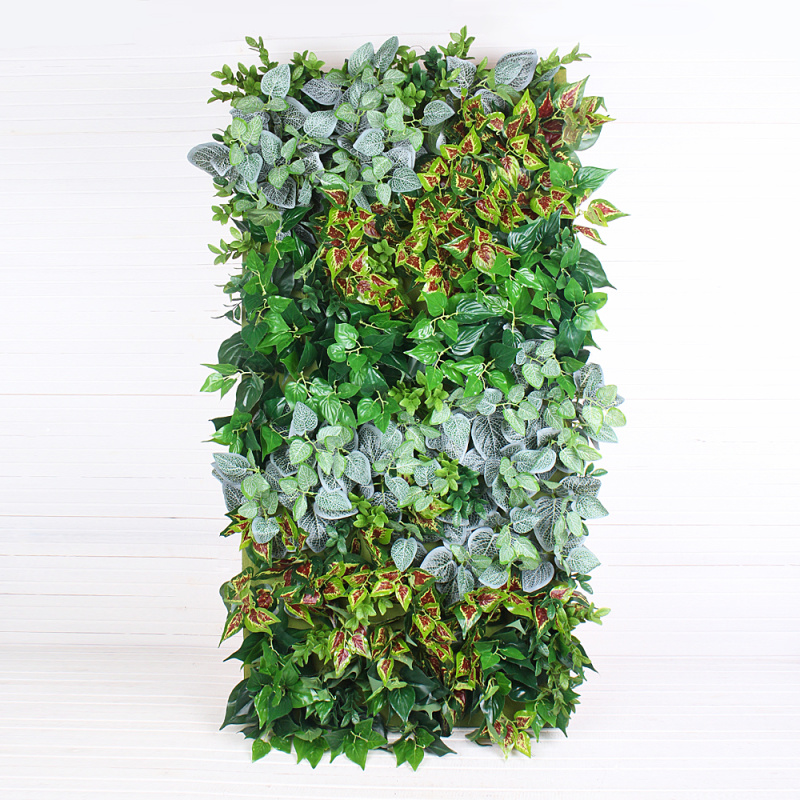 Фитостена 006