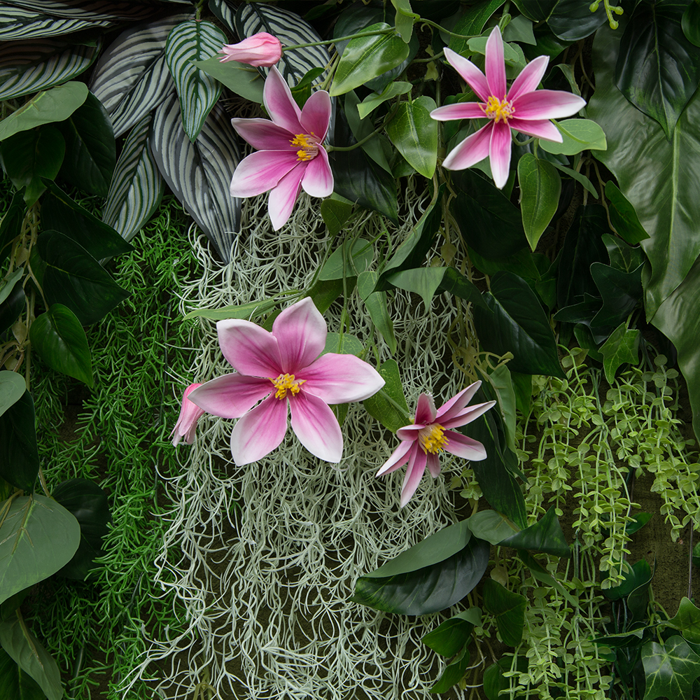 Фитостена 101-1 _3