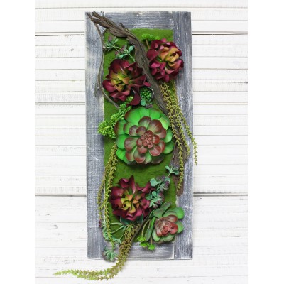 СКФ03-2 Фитокартина с суккул. в дер.раме(бордо)25*