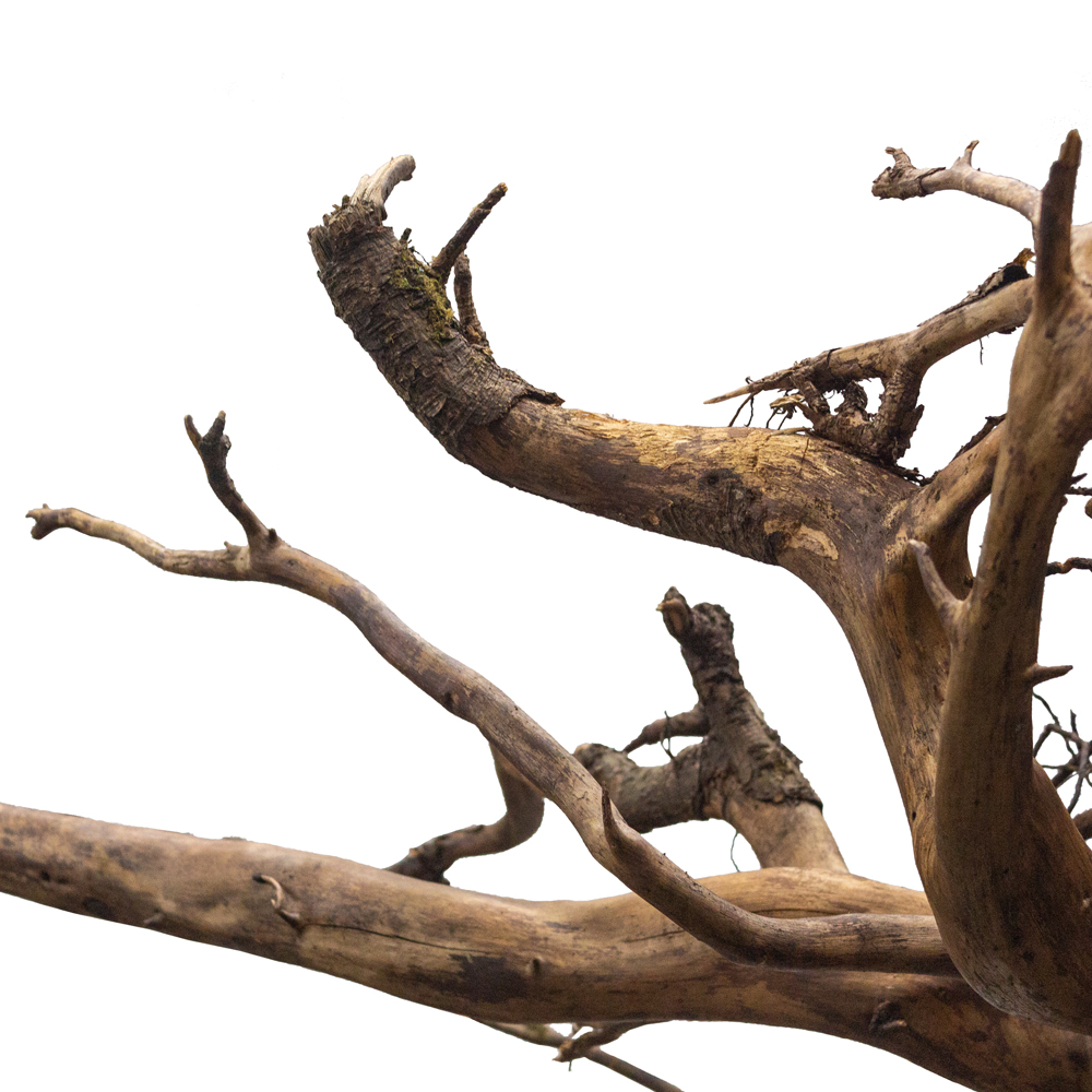 600Разб/РН/34(з.) Фикус искусственный h600см_5