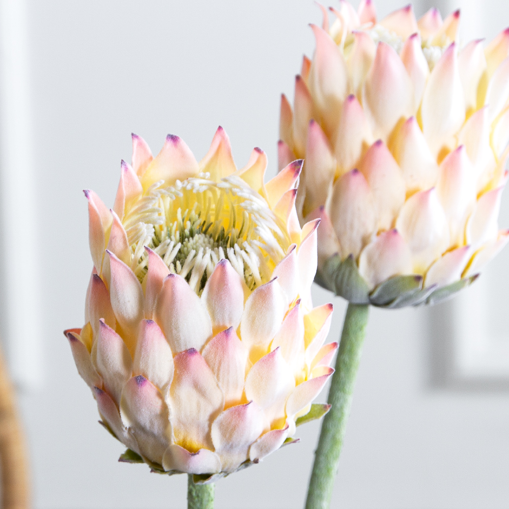 7141А/0287-0341/1(F) Протея искусственная h70см(голова 10см d7см) розовая_3